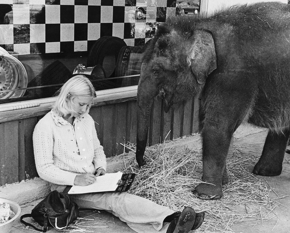 old black-and-white photo of woman with blonde hair sitting on ground, next to a baby elephant